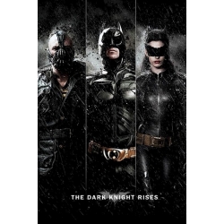 Batman : The Dark Knight Rises 